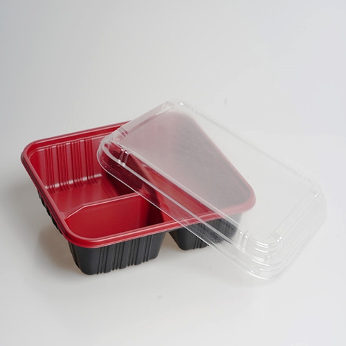 plastic disposable fast food box container