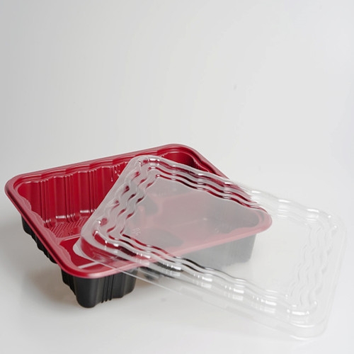 plastic disposable fast food box container
