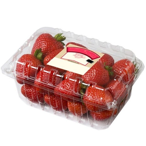  plastic PET clamshell fruit vegetable packaging container