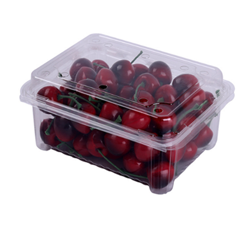 plastic clamshell packaging For Strawberry