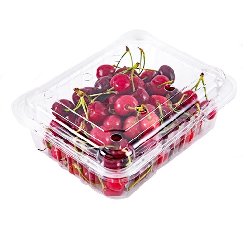  plastic PET clamshell fruit vegetable packaging container