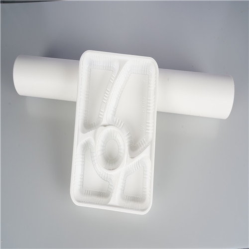 transparent rigid polystyrene plastic sheet rolls for disposable food packaging